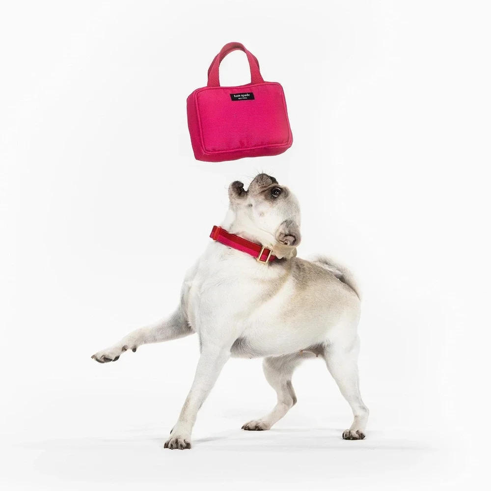 Kate Spade Pink Dog Toy with Handles and Squeaky, 7